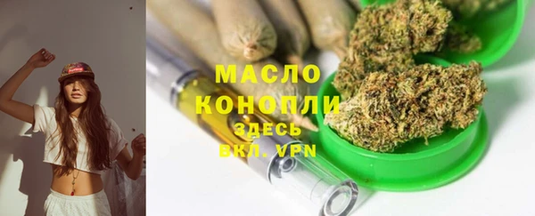 индика Лабытнанги