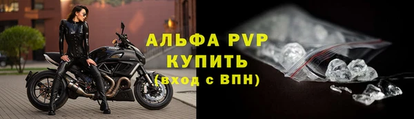 индика Лабытнанги