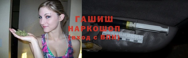 индика Лабытнанги