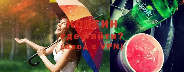 индика Лабытнанги