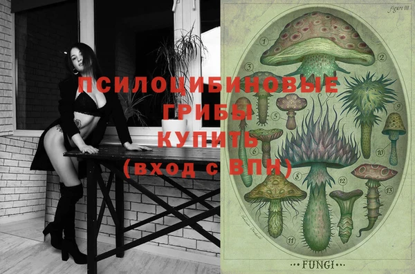 прущие грибы Лагань