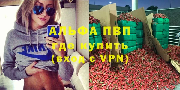 ECSTASY Ладушкин