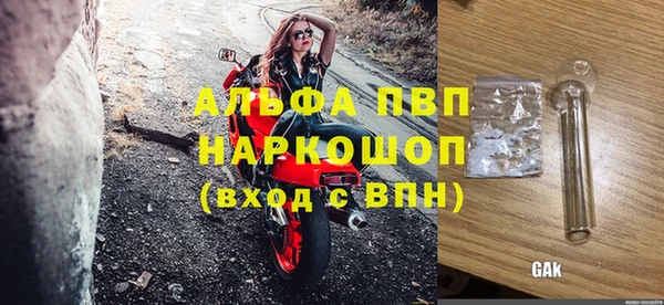 индика Лабытнанги