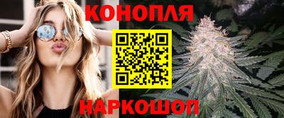 ПСИЛОЦИБИНОВЫЕ ГРИБЫ Нальчик