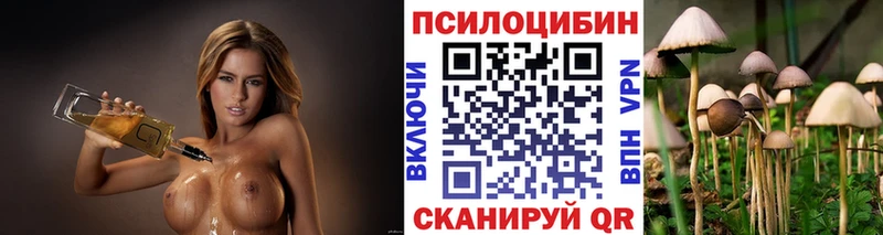 Псилоцибиновые грибы Cubensis Лиски