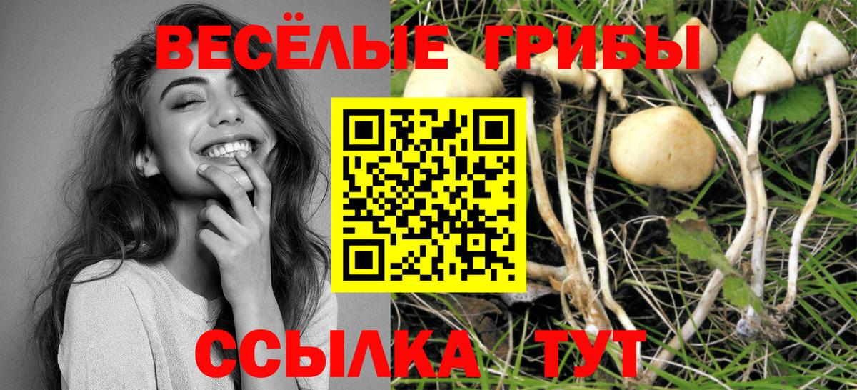 Псилоцибиновые грибы мицелий  где купить наркотик  Лиски  Вход с VPN 